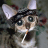 Rumpelstiltskin11
